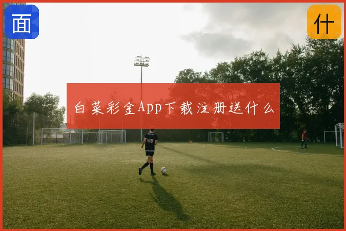 白菜彩金App下载注册送什么